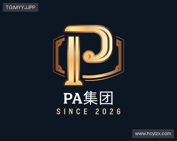 认识PA集团网站